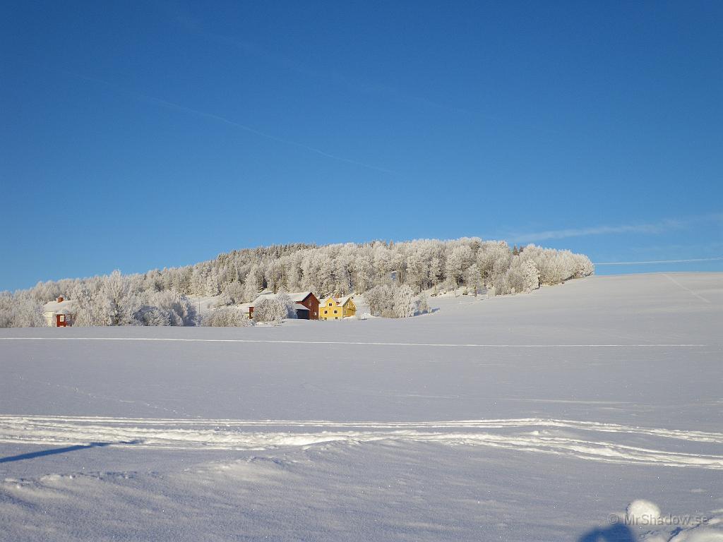 IMGP0316.JPG - Vy upp mot Berge norr om Alsens kyrka. Tjock rimfrost som även färgat granskogen vit.