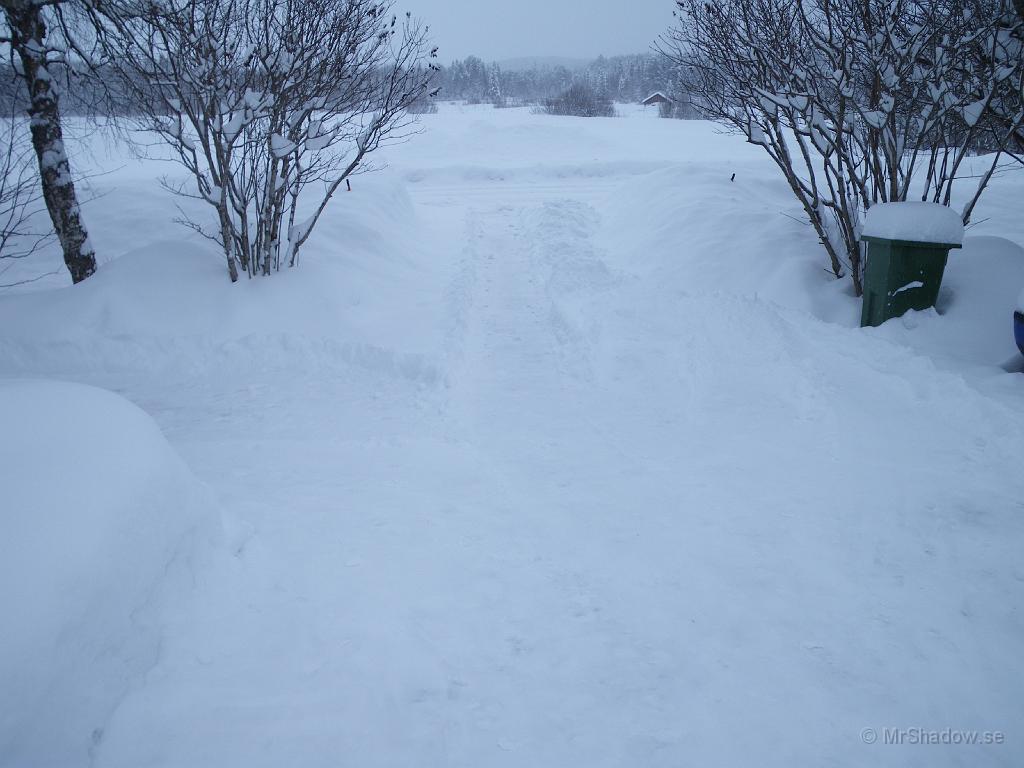 IMGP0392.JPG - 2009-02-08  Fjärde dagen som det snöar.. Det är små flingor med de är många.. Det är lätt snö så det går ganske enkelt att röja. Lite svalt är det och medeltempen har legat under -15 i över en vecka