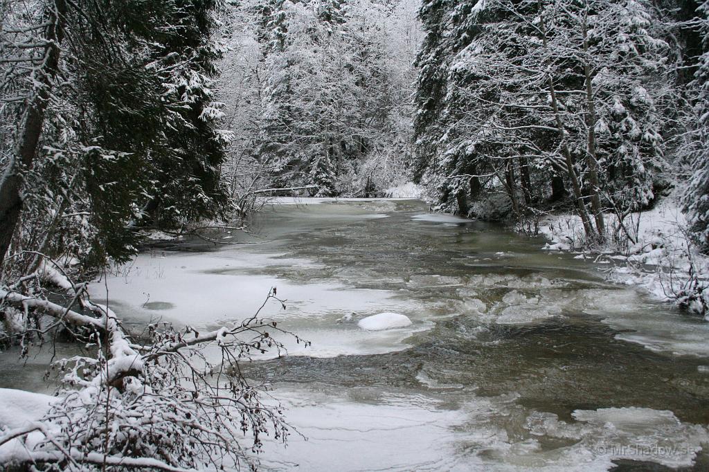 IMG_5719.JPG - Kylan har skapat en ny miljö vid "the Creek". Det har bildats dammar av is efter hela ån och det skulle kunna bli översvämning...