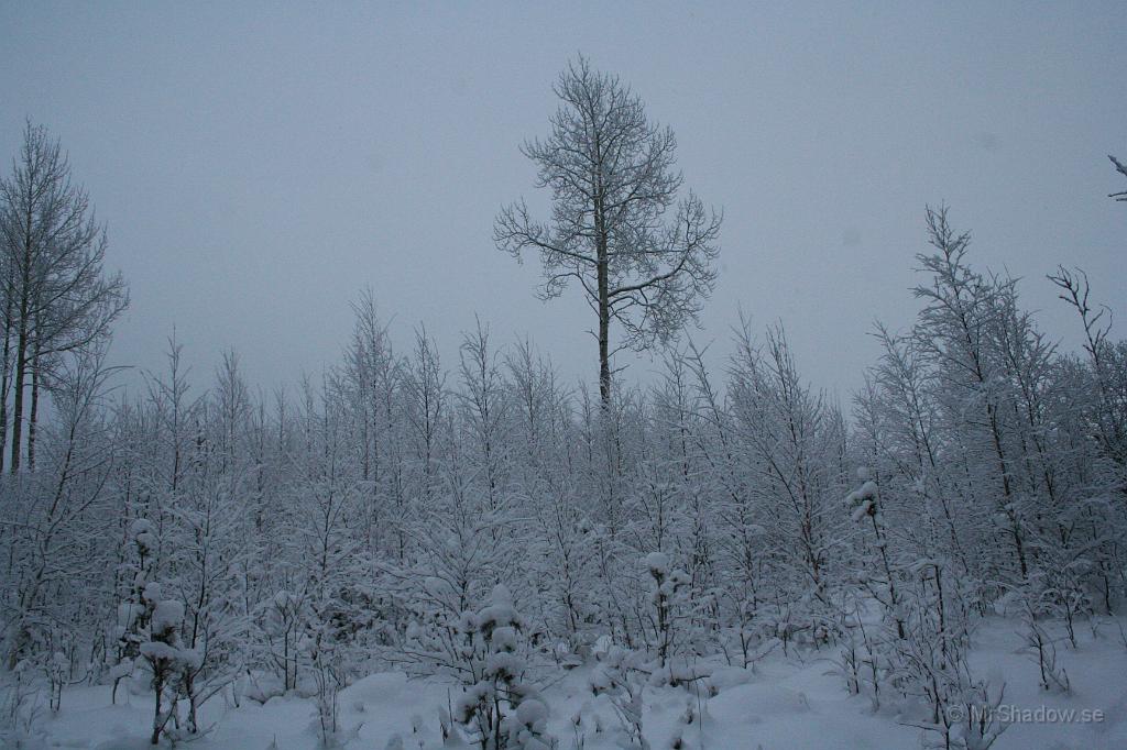 IMG_5768.JPG - Inte nog med att det är snö och rim i träden, det är lite kyligt också.