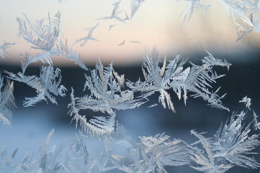 IMG_6040.JPG - Vackra froststjärnor på ett fönster