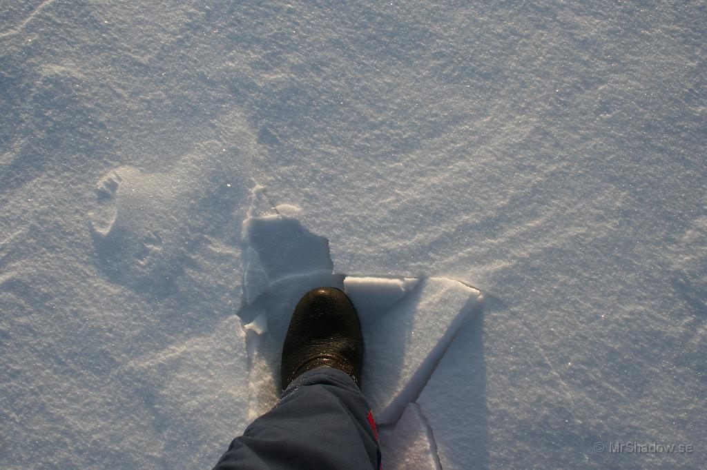 IMG_6245.JPG - Det har blivit lite skare på snön, men ännu så bär den inte.