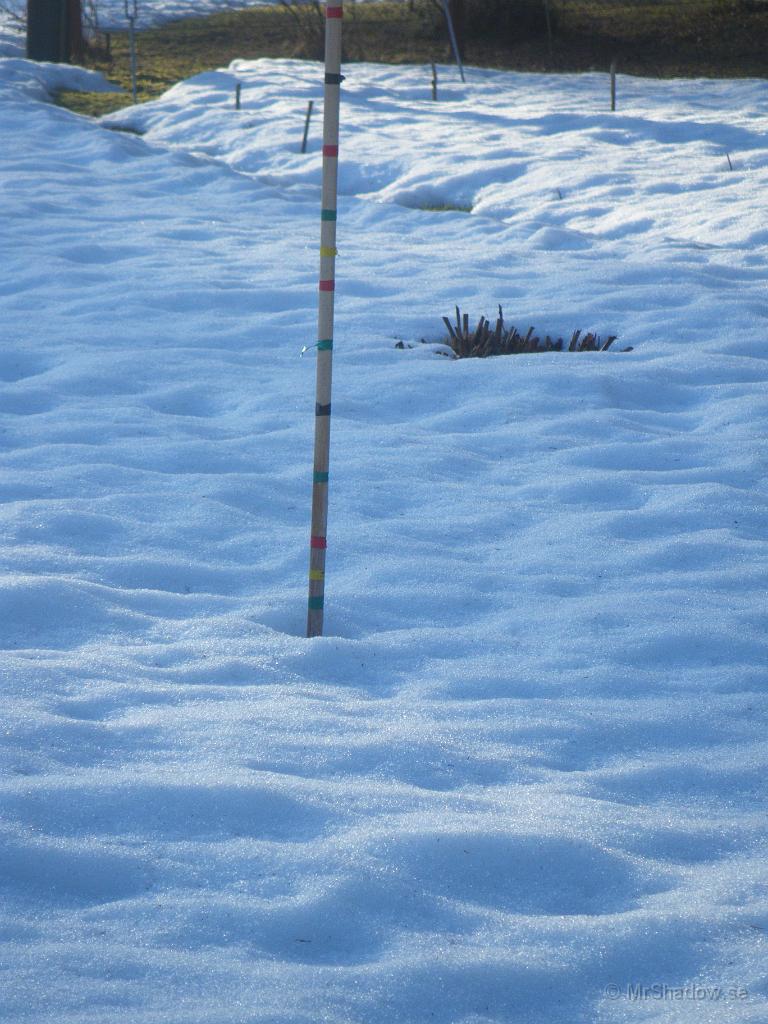 IMGP3184.JPG - Snöpinnen skvallrar om att det är mellan 15 och 20 cm snö på gräsmattan, minst...