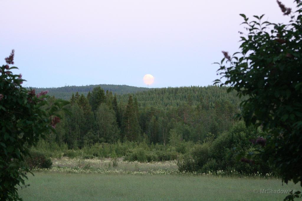 IMG_8625.JPG - 2010-07-23  Långt där borta rullar månen fram över skogen