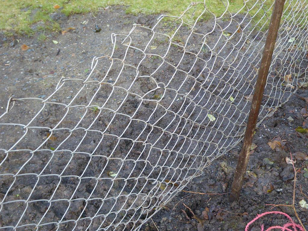 IMGP4839.JPG - Lagat staketet efter sensommarens grävning. När vi drog in nytt vatten så fick staketet dela på sig.. Nu ett par månader senare så har jag flätet ihop det igen.. Glömde ta kort på hur illa det såg ut ett tag..