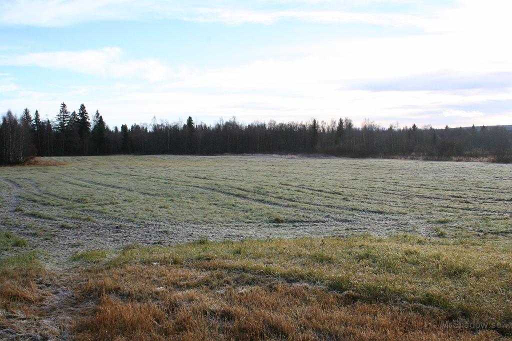 IMG_0840.JPG - 2010-10-31  Gräset på lägdan är täckt av frost och då är det ändå mitt på dagen..