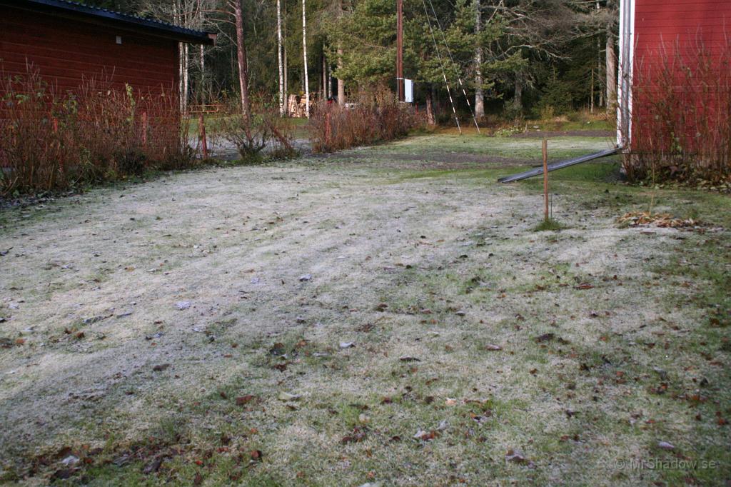 IMG_0841.JPG - Skuggorna säger att klockan är ungefär 12 och fortfarande frost i gräset, men plusgrader i luften..