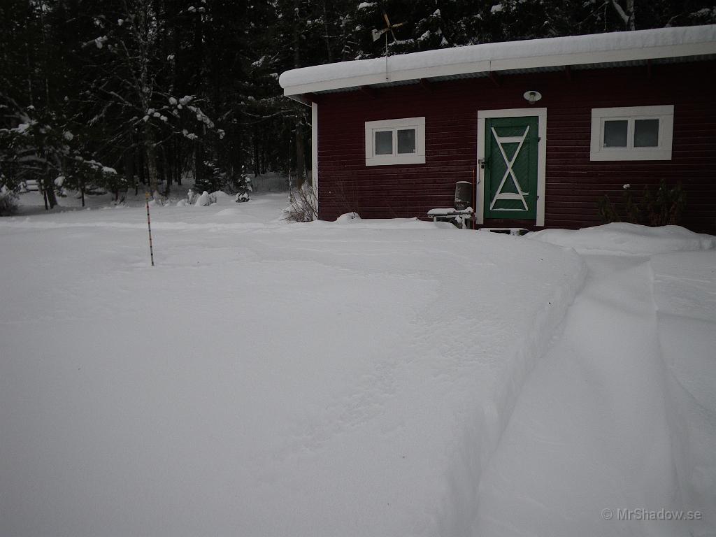 IMGP5479.JPG - Snön ligger vit och fin även mot uthuset. Men det är inte mer än ca 40cm..