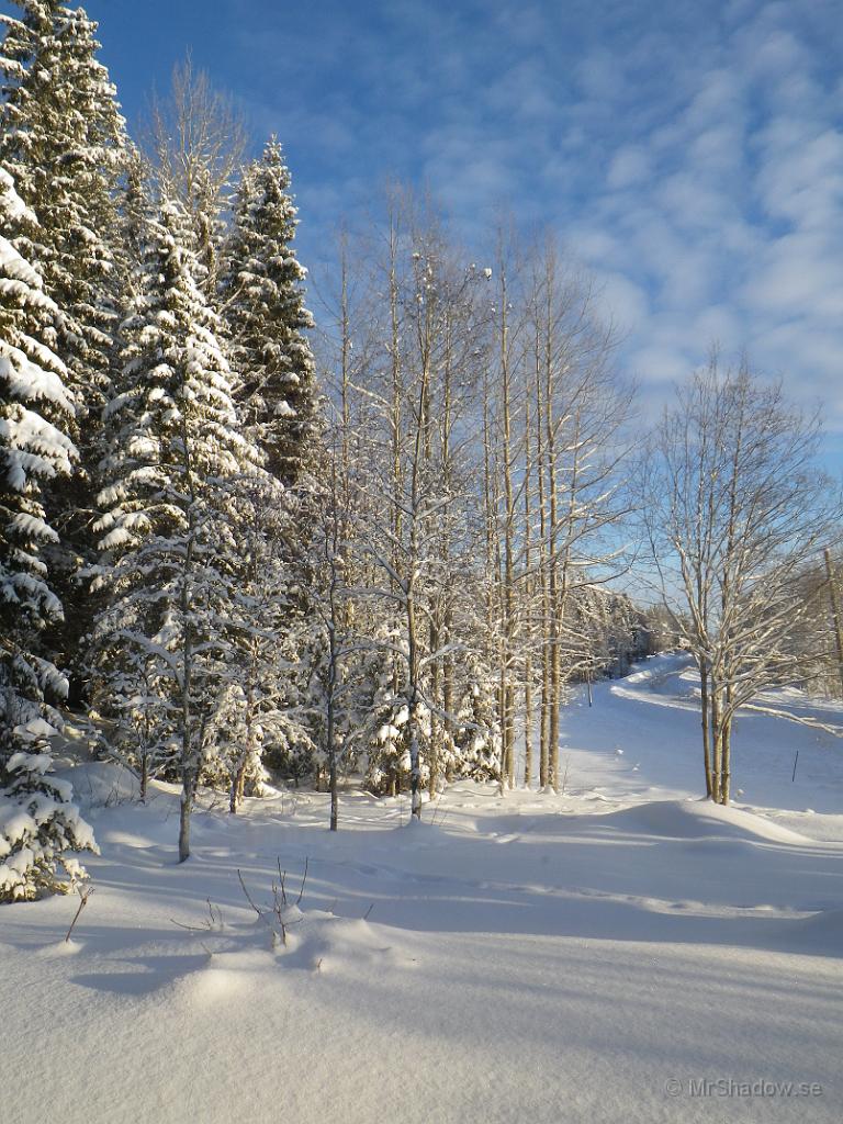 IMGP0351.jpg - En bild av vinter