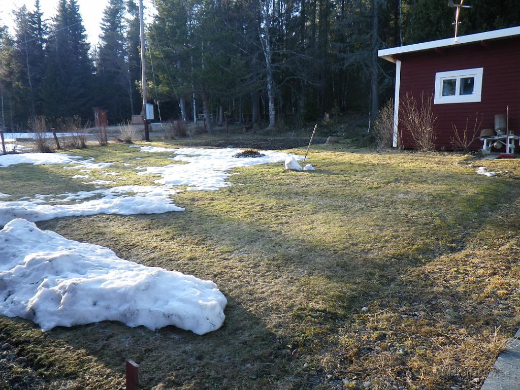 IMGP0639.JPG - 2012-04-14  Inte så mycket snö kvar på gräsmattan.