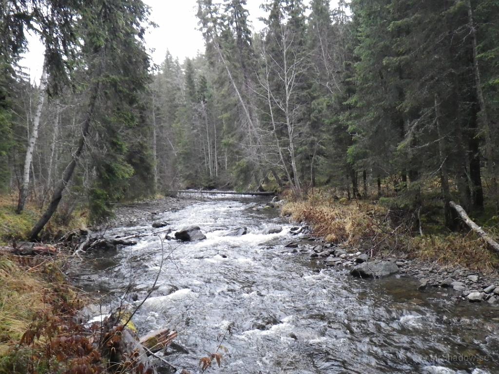 IMGP1592.JPG - Gick förbi "The Creek" vid Åringsån och lövträden ser bara gråa ut..