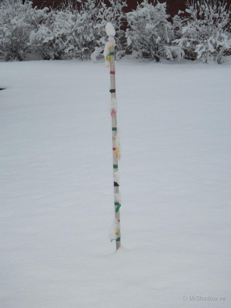 IMGP1792.jpg - Inga stora mängder snö ännu så länge.. Röd eller grön tape på 10 cm. Svart på halv meter och gul på 25 cm. Just nu ser det ut att vara ca 15 cm..