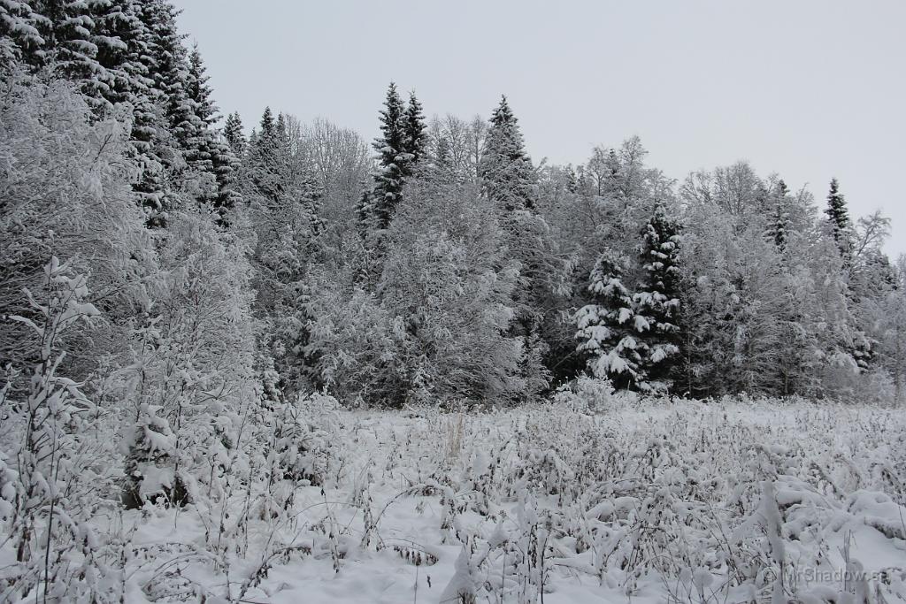 IMG_2947.JPG - Vackert när snö och frost täcker träden