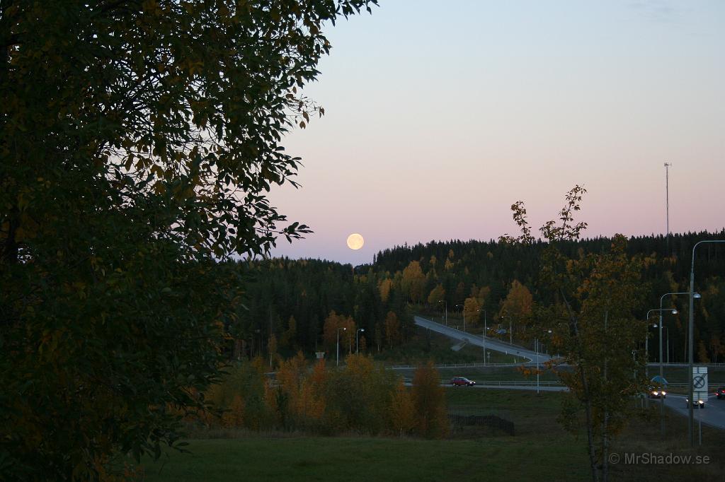 IMG_2762.JPG - Fullmåne över Lillängerondellen"Måste" bara plåta fullmånen denna torsdag....Ser ni varulven ????